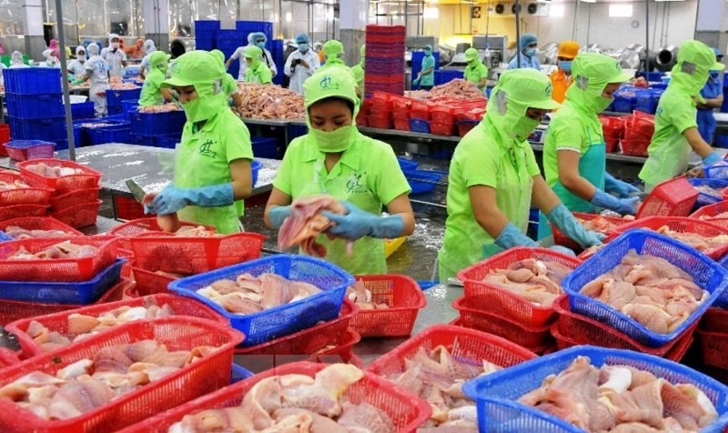 Vietnam CPTPP Trade Growth Opens New Export Routes Vietnam CPTPP Trade Growth Opens New Export Routes